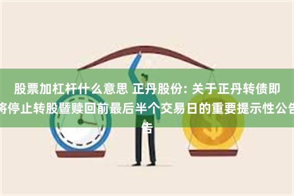 股票加杠杆什么意思 正丹股份: 关于正丹转债即将停止转股暨赎回前最后半个交易日的重要提示性公告