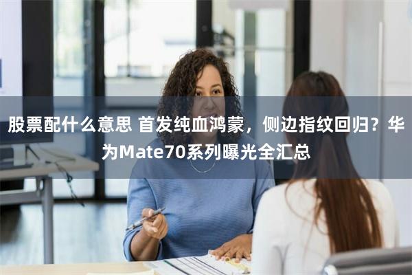 股票配什么意思 首发纯血鸿蒙，侧边指纹回归？华为Mate70系列曝光全汇总