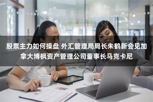 股票主力如何操盘 外汇管理局局长朱鹤新会见加拿大博枫资产管理公司董事长马克卡尼