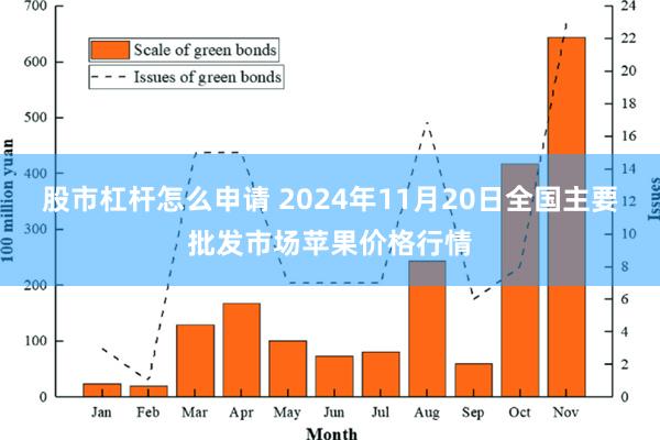 股市杠杆怎么申请 2024年11月20日全国主要批发市场苹果价格行情