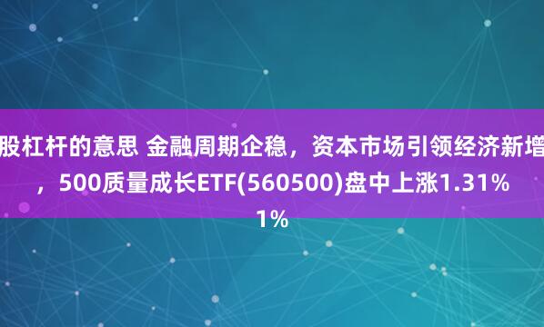 炒股杠杆的意思 金融周期企稳，资本市场引领经济新增长，500质量成长ETF(560500)盘中上涨1.31%