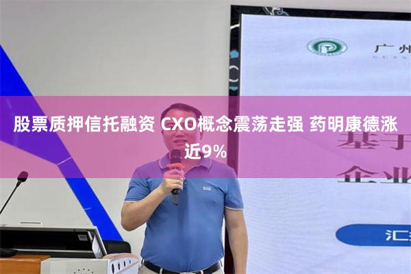 股票质押信托融资 CXO概念震荡走强 药明康德涨近9%