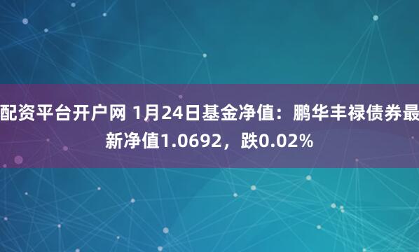 配资平台开户网 1月24日基金净值：鹏华丰禄债券最新净值1.0692，跌0.02%