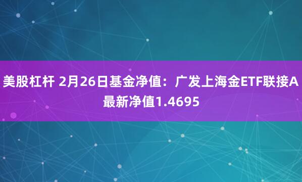 美股杠杆 2月26日基金净值：广发上海金ETF联接A最新净值1.4695