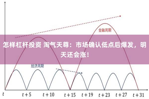 怎样杠杆投资 淘气天尊：市场确认低点后爆发，明天还会涨！