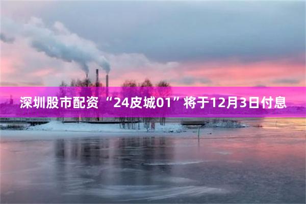 深圳股市配资 “24皮城01”将于12月3日付息
